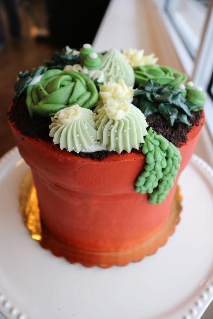 Plant Cake